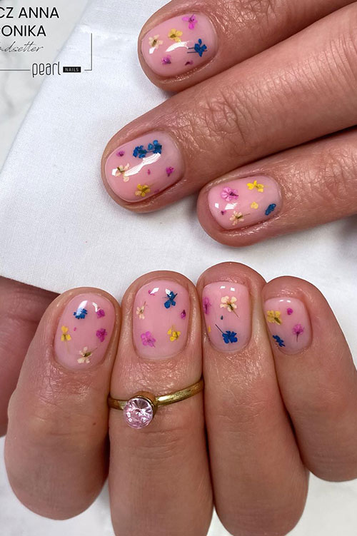 Nude pink short spring nails adorned with tiny dried flowers in blue, yellow, and pink colors