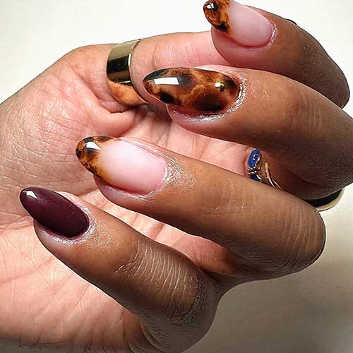 Long almond-shaped tortoise shell nails featuring elegant French tips and rich brown accents for a stylish look.