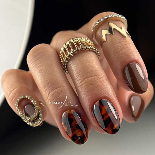 Short dark brown nails featuring two accent nails with a tortoise shell design.